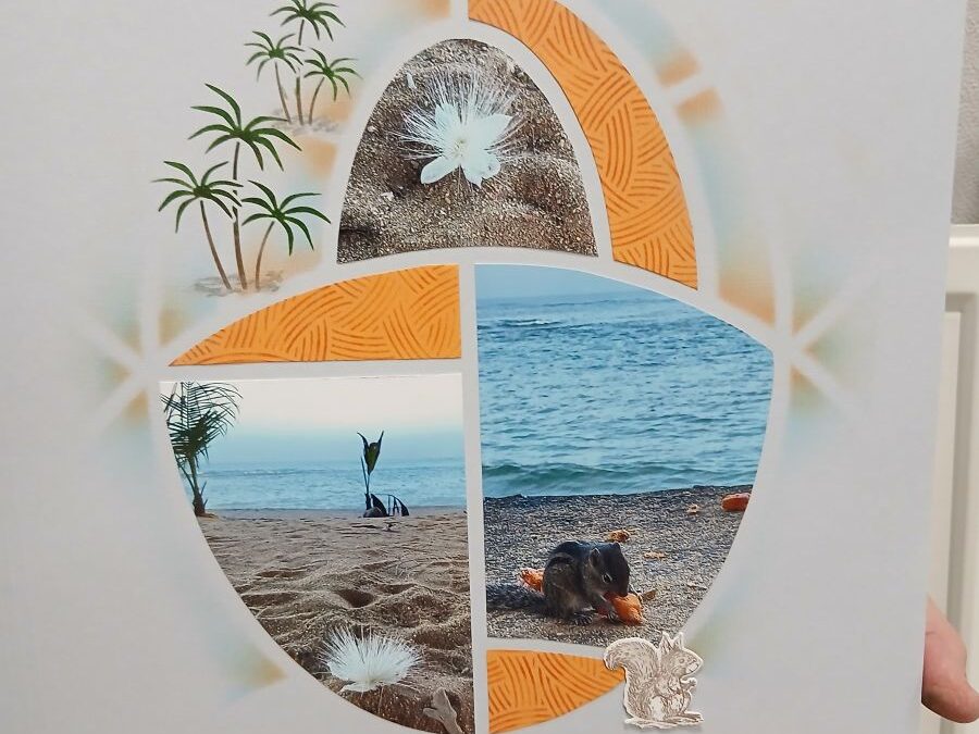 Atelier Scrapbooking  du 26 novembre 2025