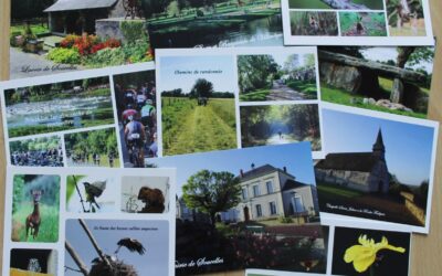 Cartes postales de Rives du Loir en Anjou