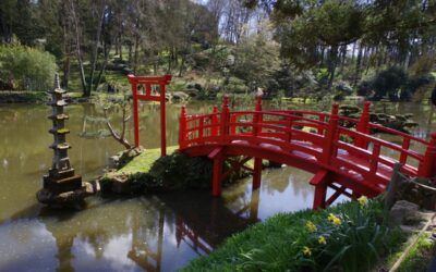 Sortie Parc Oriental Maulévrier le 28 mars 2025