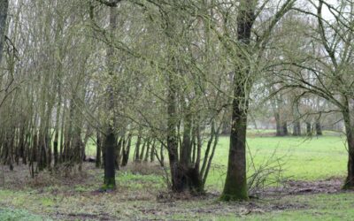 Sortie technique à la Pilièrele 6 décembre 2025